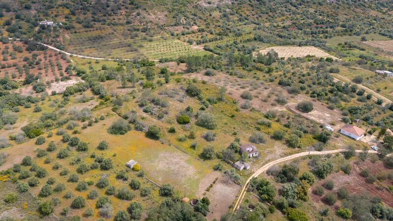 3 bedroom25 860 m²  Land plot in Loulé