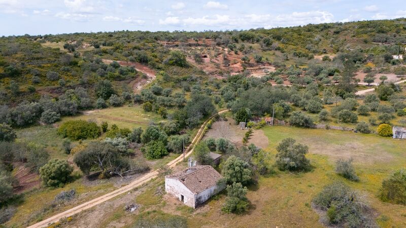 3 bedroom25 860 m²  Land plot in Loulé