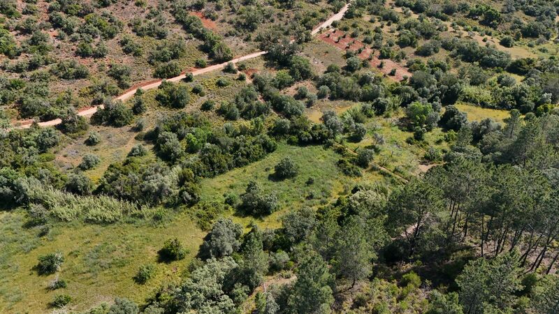Lote de Terreno com 3 000 m²  em Loulé