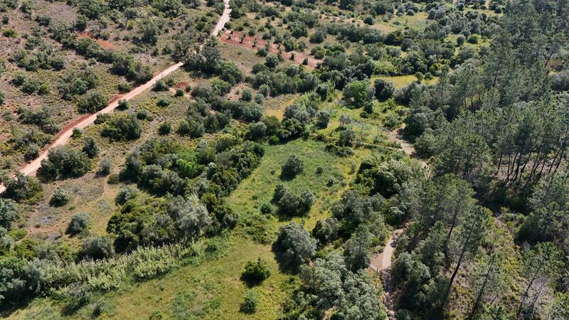 Lote de Terreno com 3 000 m²  em Loulé