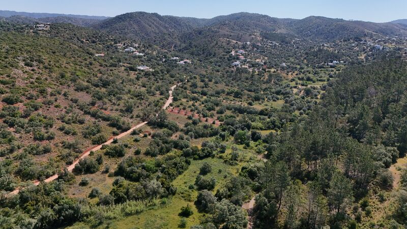 Lote de Terreno com 3 000 m²  em Loulé