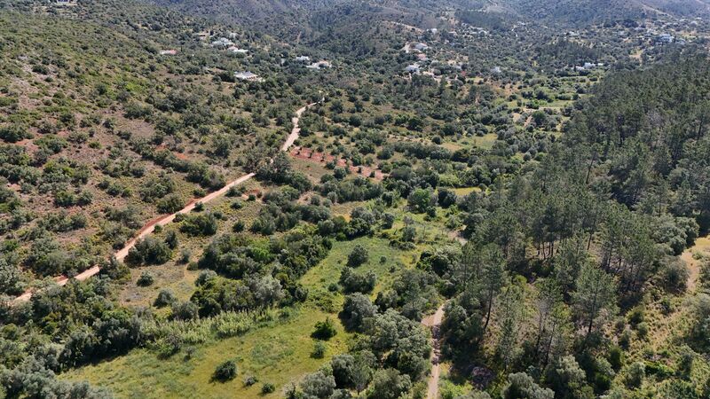 Lote de Terreno com 3 000 m²  em Loulé
