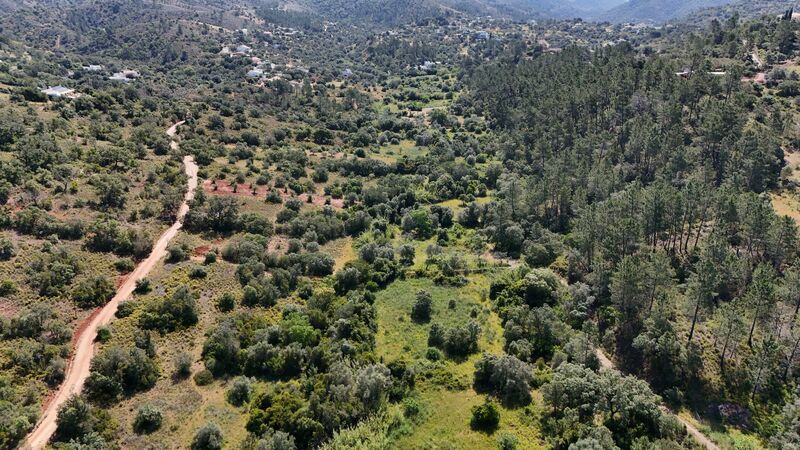 Lote de Terreno com 3 000 m²  em Loulé