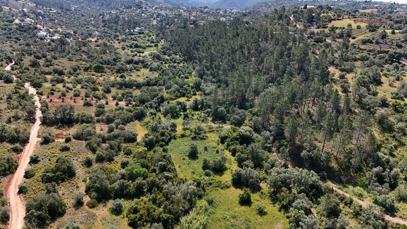 Lote de Terreno com 3 000 m²  em Loulé