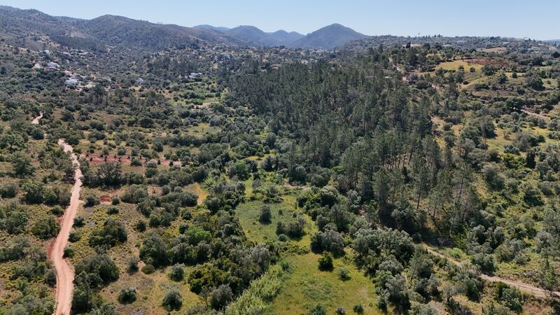 Lote de Terreno com 3 000 m²  em Loulé