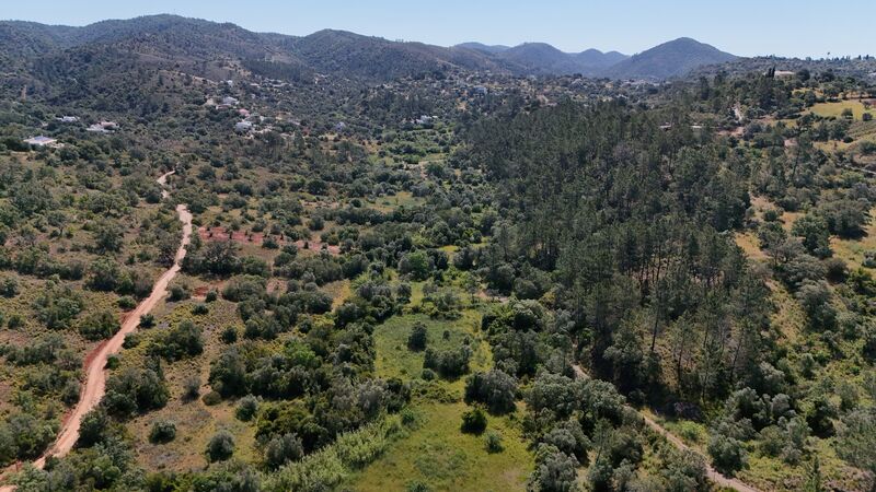 Lote de Terreno com 3 000 m²  em Loulé