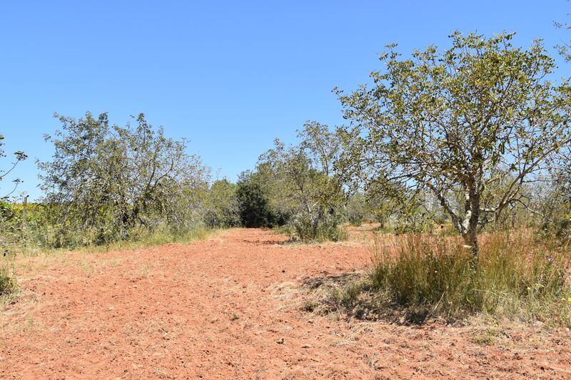 11 000 m²  Land plot in Albufeira