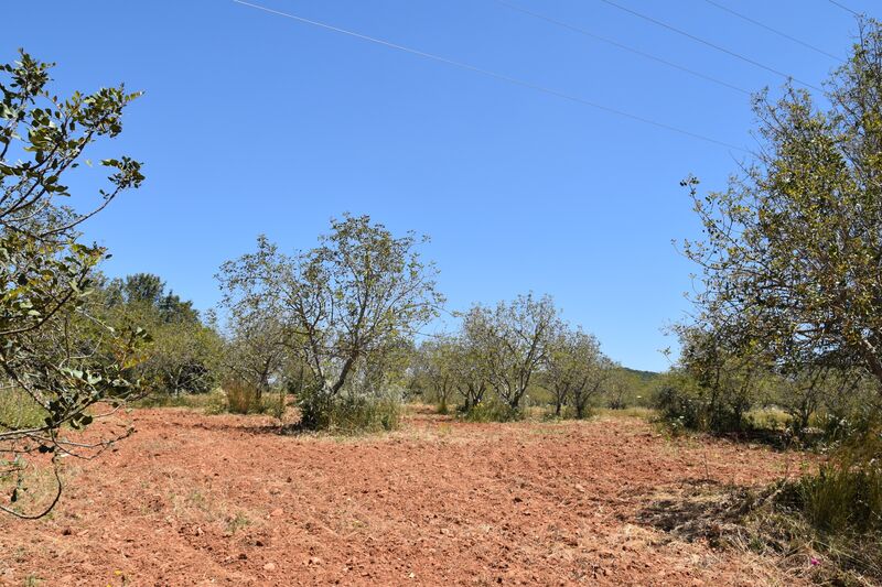 Land Rustic with 11000sqm Paderne Albufeira - easy access, electricity