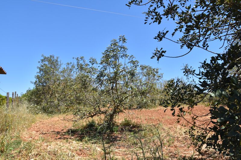 11 000 m²  Land plot in Albufeira