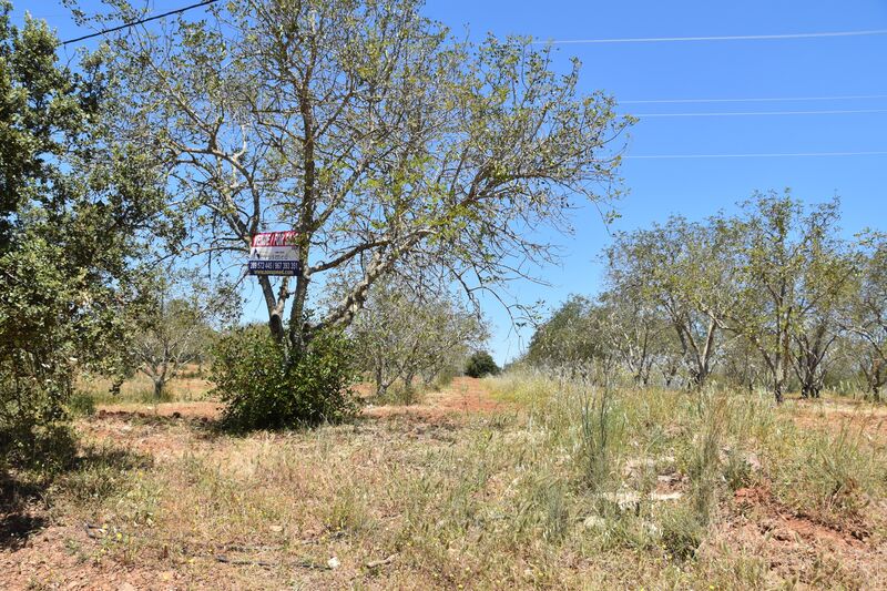 11 000 m²  Land plot in Albufeira