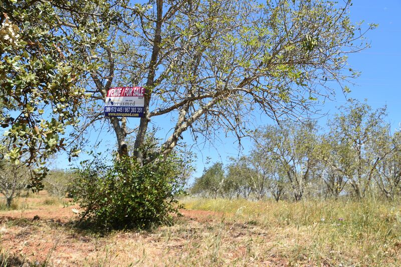 11 000 m²  Land plot in Albufeira