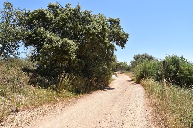 11 000 m²  Land plot in Albufeira