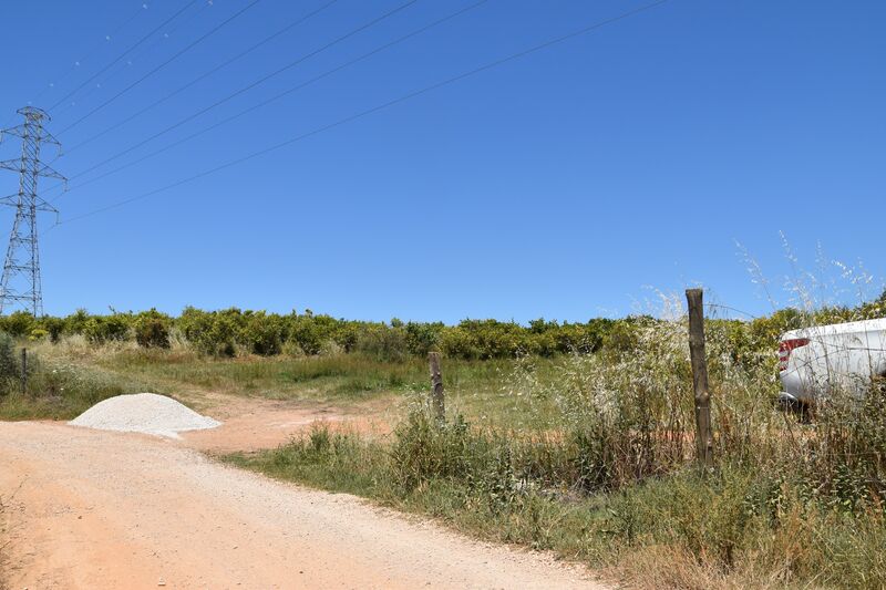 11 000 m²  Land plot in Albufeira