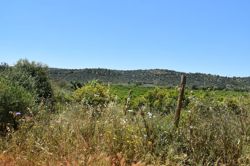 11 000 m²  Land plot in Albufeira
