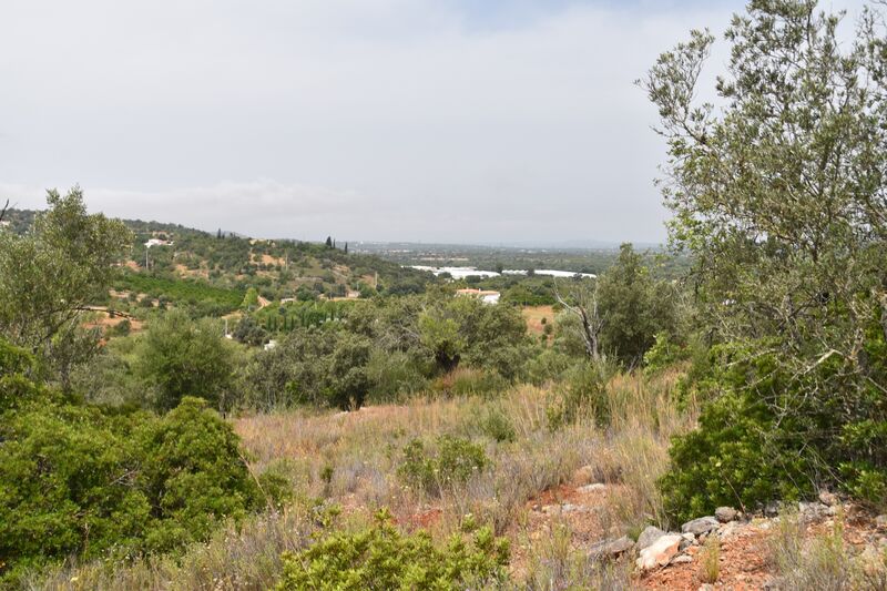 Land Agricultural with 11600sqm Paderne Albufeira - olive trees, water, electricity