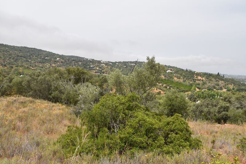 Lote de Terreno com 11 600 m²  em Albufeira