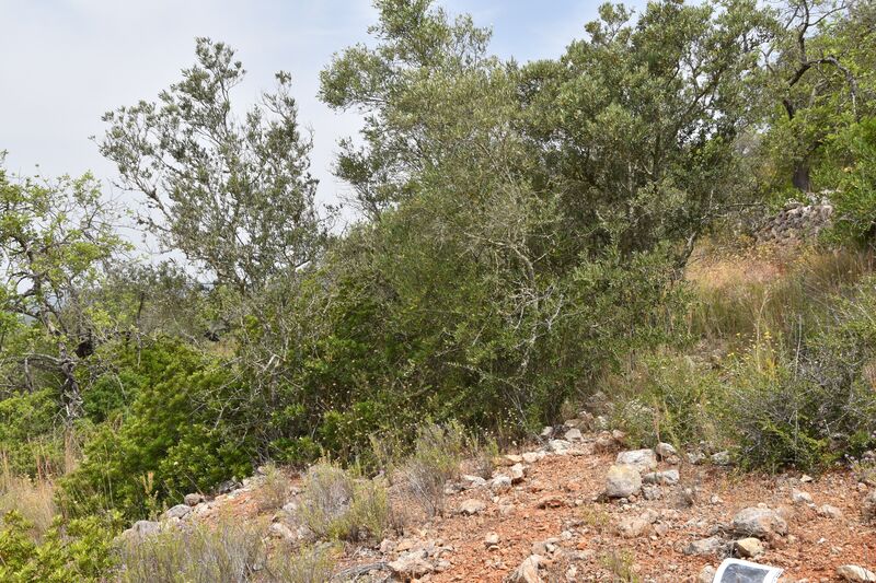 Lote de Terreno com 11 600 m²  em Albufeira