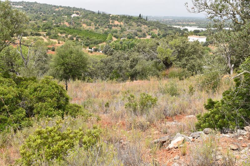 Lote de Terreno com 11 600 m²  em Albufeira
