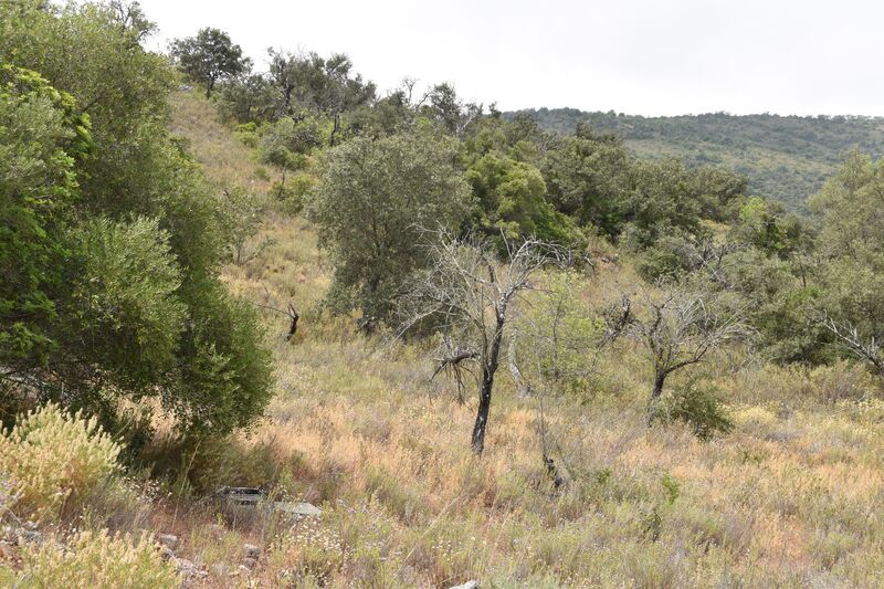 Lote de Terreno com 11 600 m²  em Albufeira