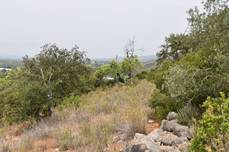 Lote de Terreno com 11 600 m²  em Albufeira