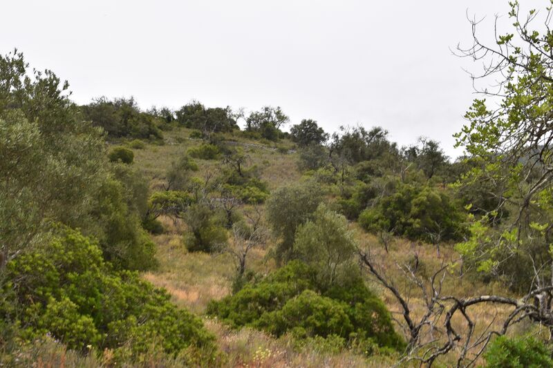 Lote de Terreno com 11 600 m²  em Albufeira