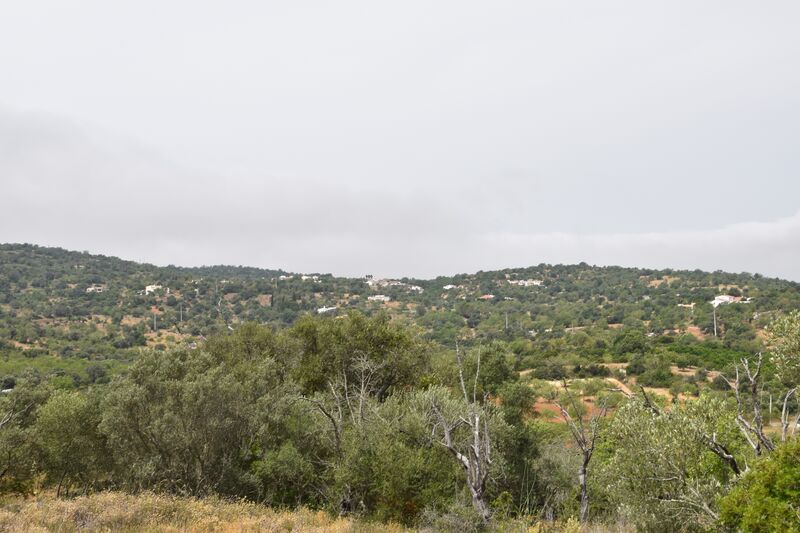 Land Agricultural with 11600sqm Paderne Albufeira - water, electricity