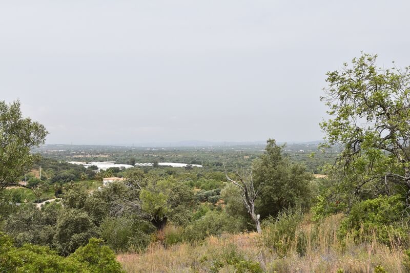 Lote de Terreno com 11 600 m²  em Albufeira