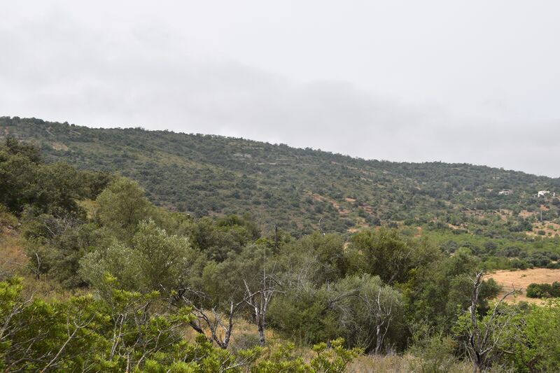 Lote de Terreno com 11 600 m²  em Albufeira