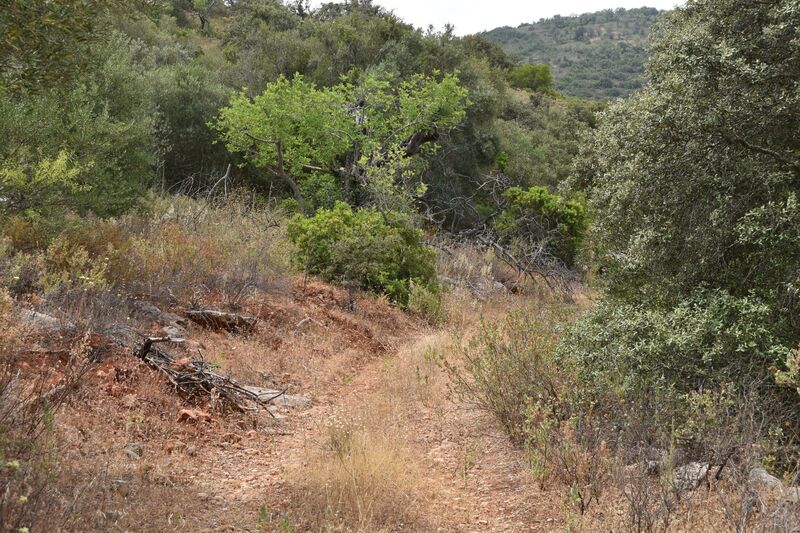 Lote de Terreno com 11 600 m²  em Albufeira