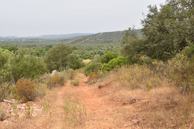 Lote de Terreno com 11 600 m²  em Albufeira
