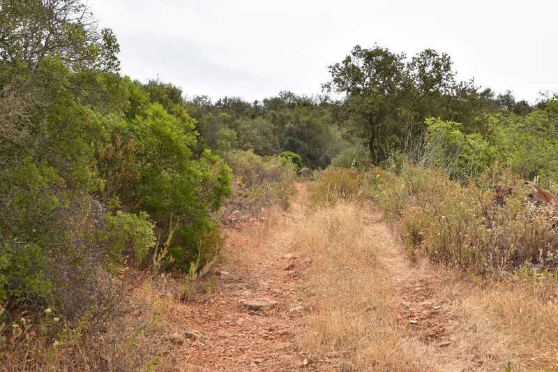 Lote de Terreno com 11 600 m²  em Albufeira