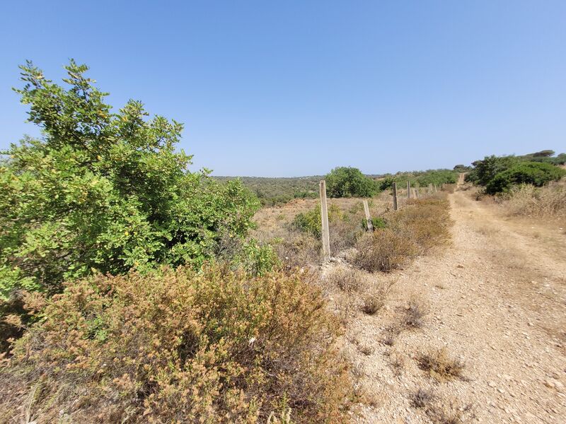 Lote de Terreno com 14 660 m²  em Albufeira