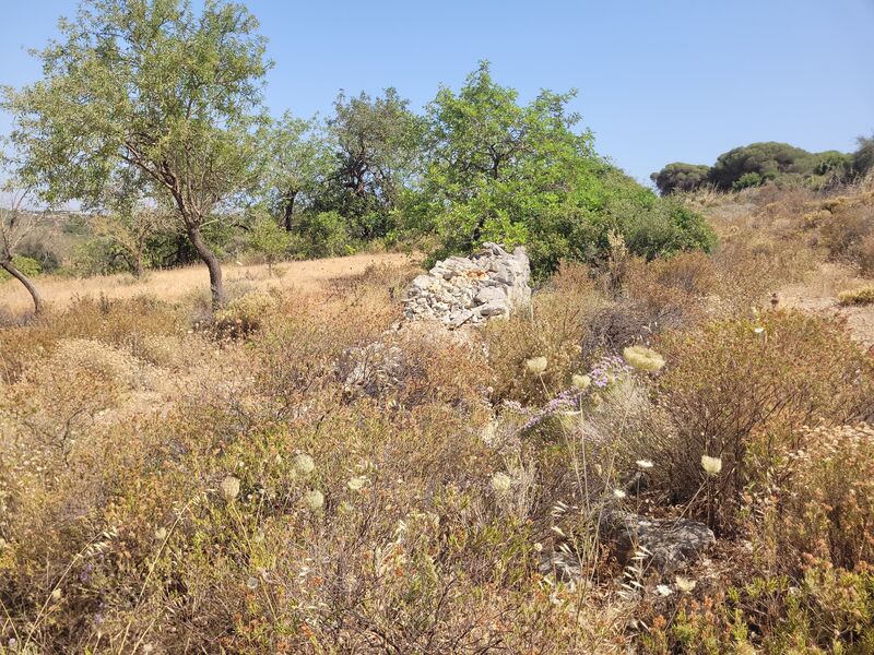 Lote de Terreno com 14 660 m²  em Albufeira