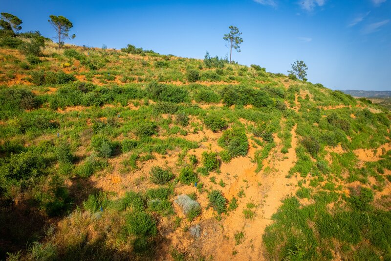 2 000 m&sup2;  Land plot in Monchique