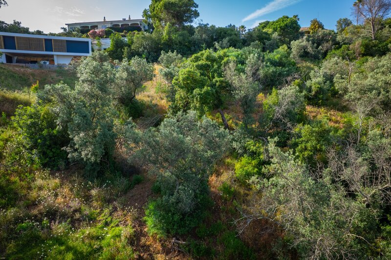 2 000 m&sup2;  Land plot in Monchique