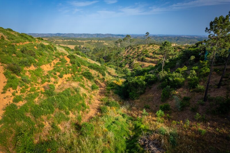 2 000 m&sup2;  Land plot in Monchique