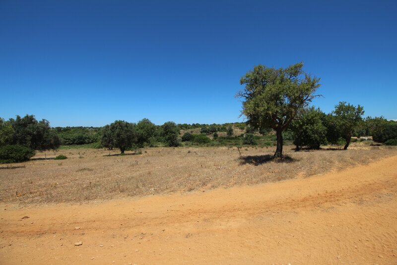 3 bedroom House in Albufeira