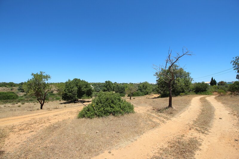 3 bedroom House in Albufeira