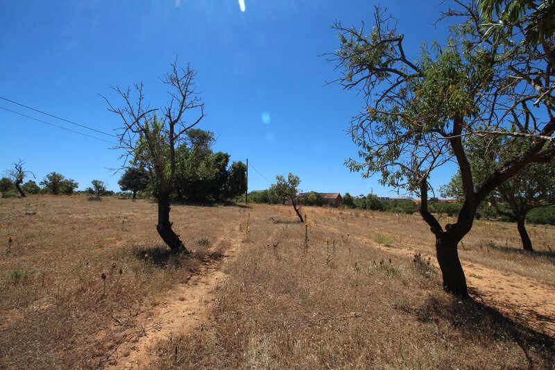 3 bedroom House in Albufeira