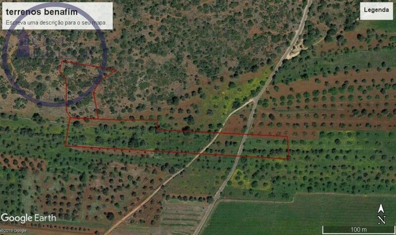 Land Agricultural with 13130sqm Benafim Loulé - excellent access, olive trees