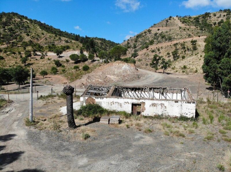 Terreno com 1100000m2 São Bartolomeu de Messines Silves - sobreiros, água