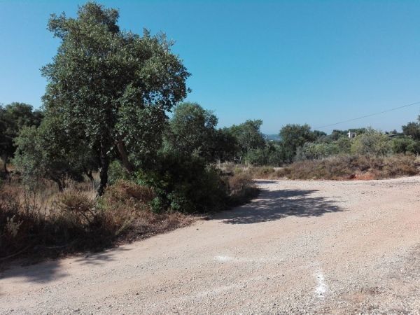 Land Agricultural with 7560sqm Silves - well, cork oaks