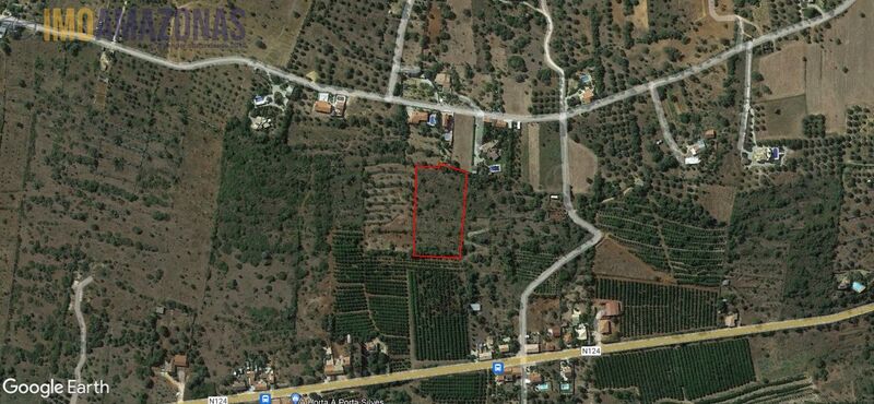 Land with 7730sqm São Bartolomeu de Messines Silves