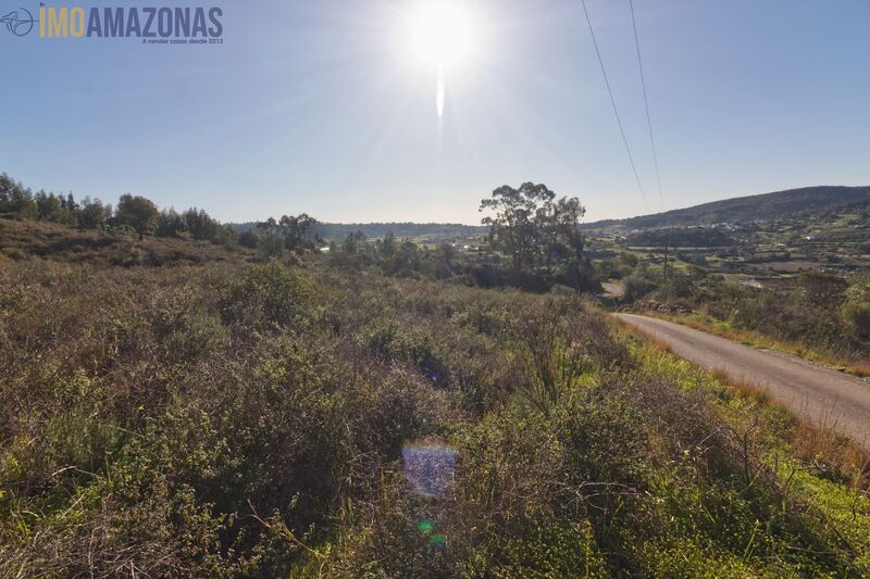 Land Rustic with 14440sqm São Bartolomeu de Messines Silves - great location, cork oaks, arable crop