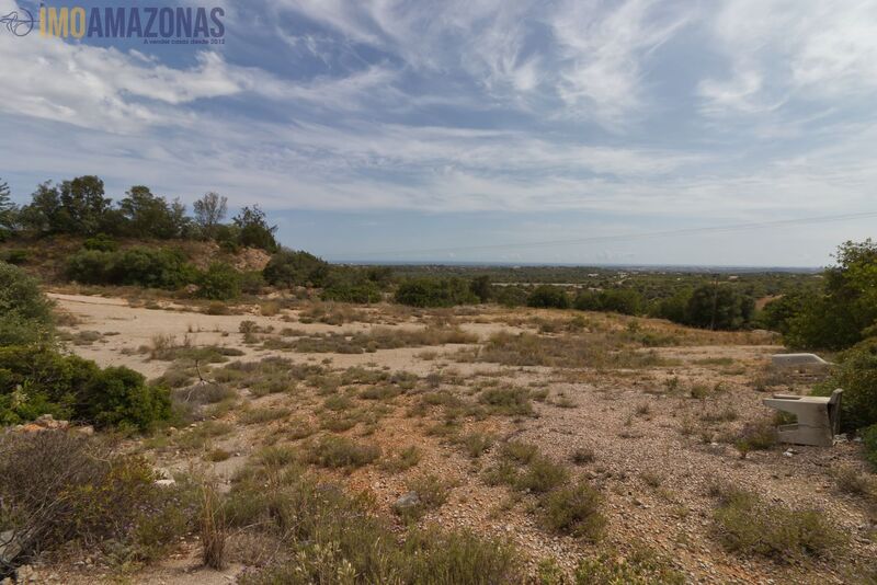 Land with 33000sqm Boliqueime Loulé