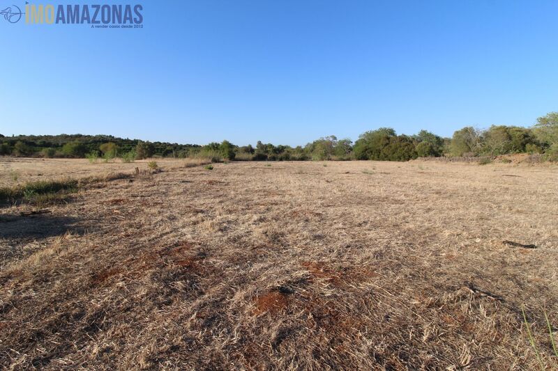 Land Rustic flat Silves - easy access, water, electricity