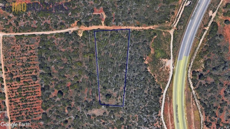 Land Rustic with 8151sqm São Sebastião Loulé