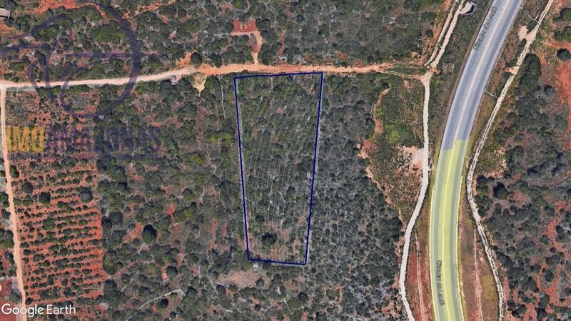 Land Rustic with 8151sqm São Sebastião Loulé