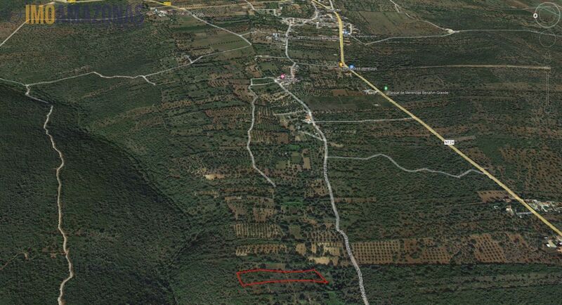 Land with 6734sqm Loulé - olive trees, arable crop