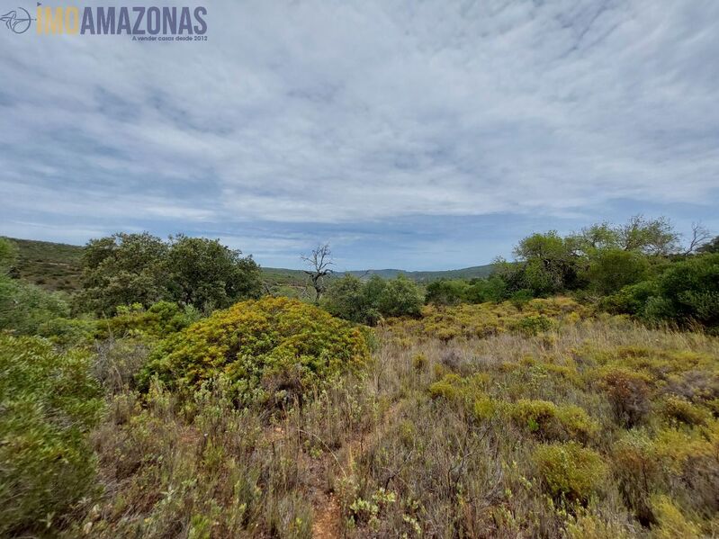 Land Rustic with 9770sqm Loulé - olive trees, arable crop